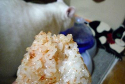 Onigiri2