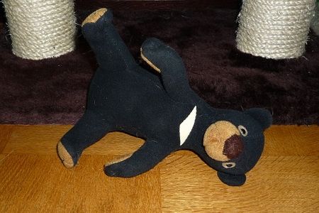 Guardbear4 Guardbear4