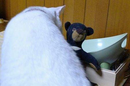 Guardbear3 Guardbear3