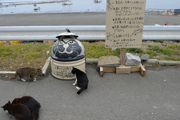 Tashirojima120318-33