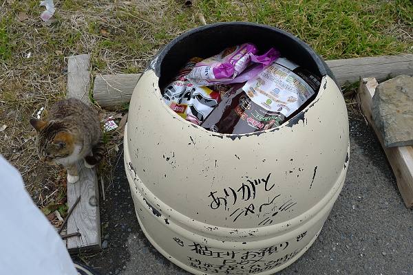 Tashirojima120318-34