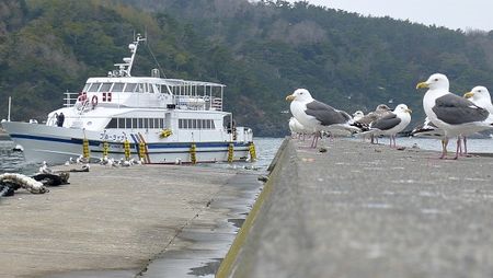 Tashirojima120318-38