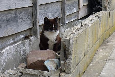 Tashirojima120318-11