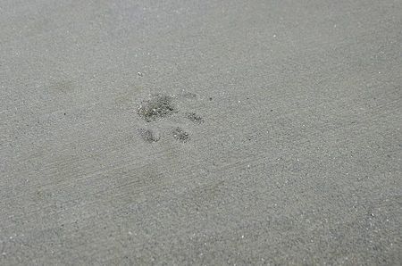 Footprint Footprint