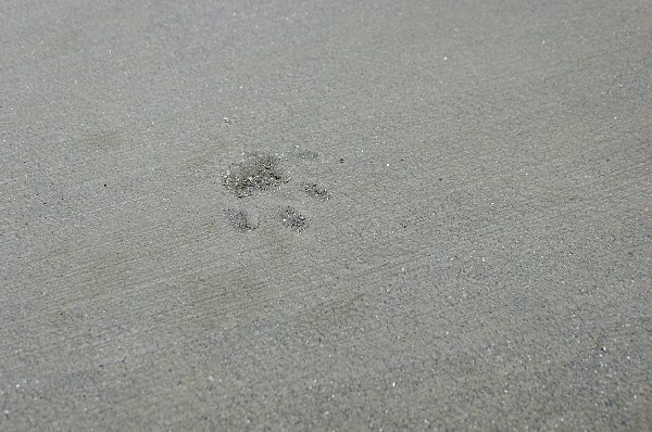 Footprint