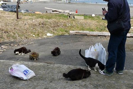 Tashirojima120318-23